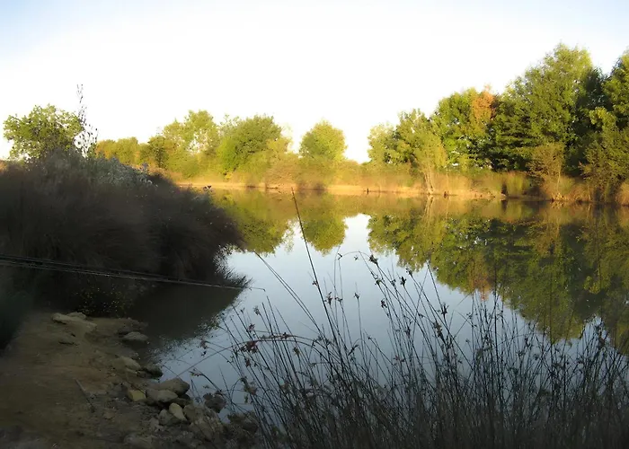 Bourdeverre Holiday home